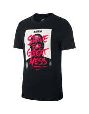 LeBron Nike Dri-FIT "Strive For Greatness"