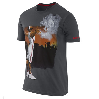 Camiseta Lebron Painting (060/anthracite)