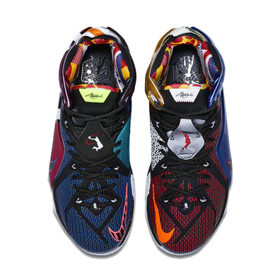 Lebron XII SE Premium "What The" (909/multicolor/phantom/cacao)