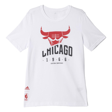 Adidas NBA  Basics Bulls Kids Tee (white)