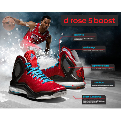 D. Rose 5 Boost "Satoransky" (rojo/azul/negro/blanco)