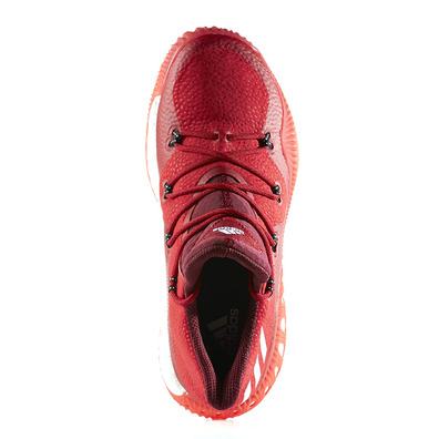 Adidas Crazy Explosive Low "Burgundy" (scarlet/white/burgundy)