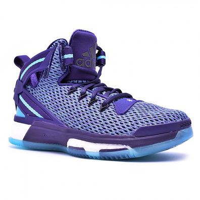 Adidas D Rose 6 Boost Junior "The Phantom" (purple/blue)