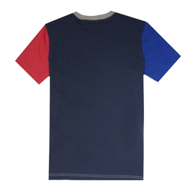 Champion Authentic Rochester Print Tee (multicolor)