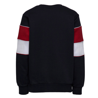 Champion Kids Classic Modular Blocking Color Crewneck Sweatshirt (BS501)