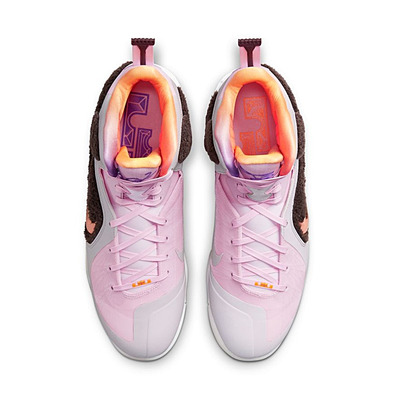 LeBron IX “Regal Pink”