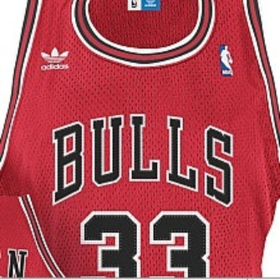 Adidas Camiseta Bordada Pippen Bulls (vermelho/branco)