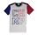 Champion Authentic Rochester Print Tee (multicolor)