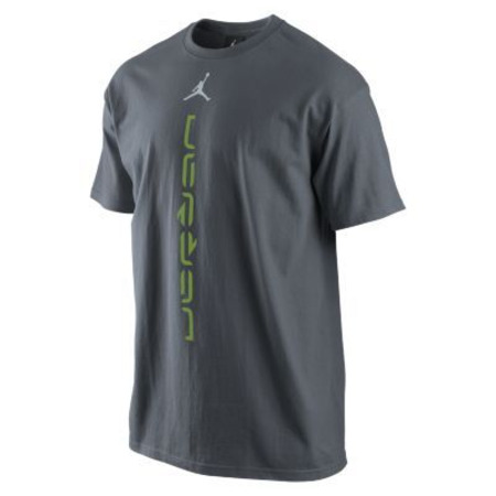 Camiseta Jordan Ambigram (001/gris/verde)