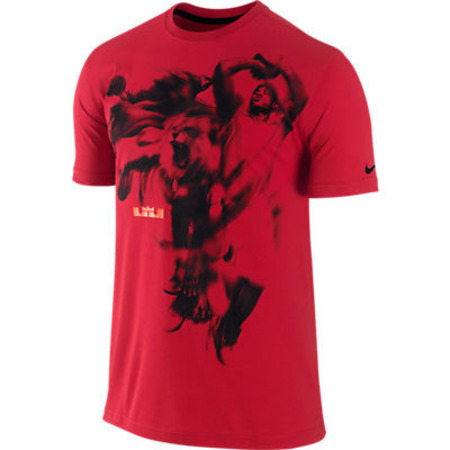 Lebron 3D Tee (611/red)