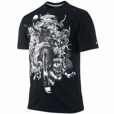 LeBron Dri-FIT Old Master Tee