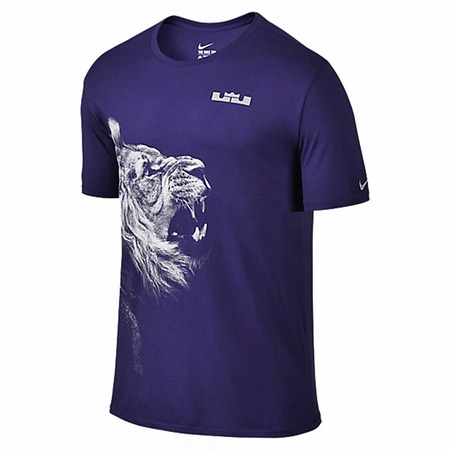 LeBron Camiseta Arch (547/morado/blanco)