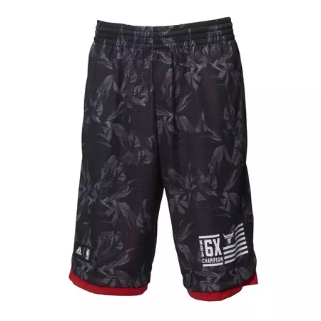 Adidas NBA Young Fanwear Nets Bulls (black/red)