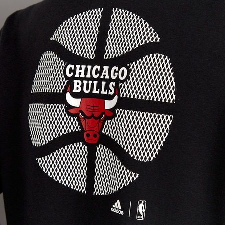 Adidas NBA Sudadera Niñ@ Chicago Bulls Fan Wear (black/red)