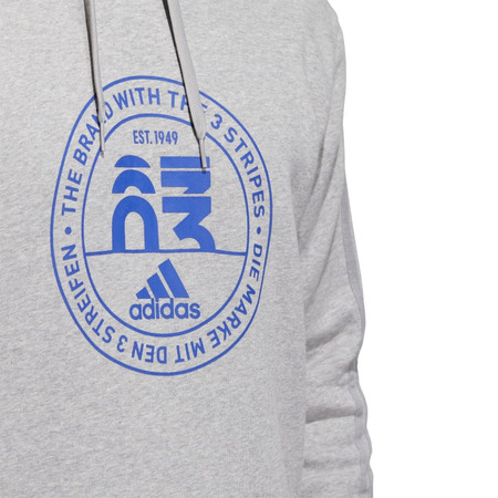 Adidas Basics Emblem Graphic Hoodie