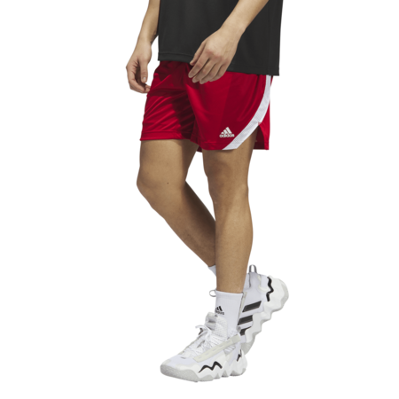 Adidas Basketball Icon Squad Pants "Team Red"