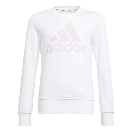 Adidas Kids Essentials Big Logo Sweatshirt