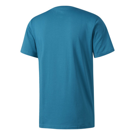 Adidas NBA Charlotte Hornets Graphic 4 Tee (turquoise)