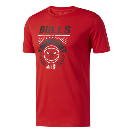 Adidas NBA Chicago Bulls Graphic 4 Tee (red)