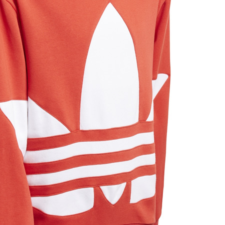 Adidas Originals Kids Big Trefoil Hoodie