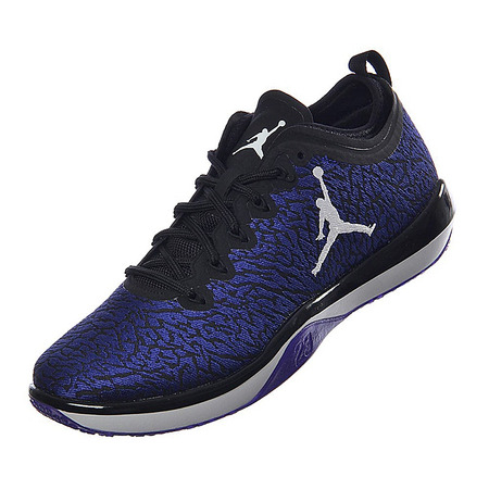 Air Jordan Trainer 1 Low "Concord Jimmy Butler"