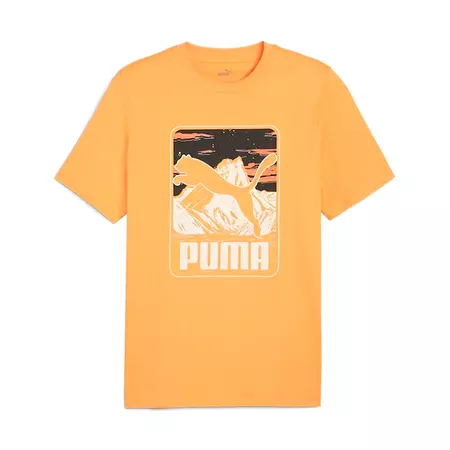 Puma GRAPHICS Mountain "Clementine" T-shirt