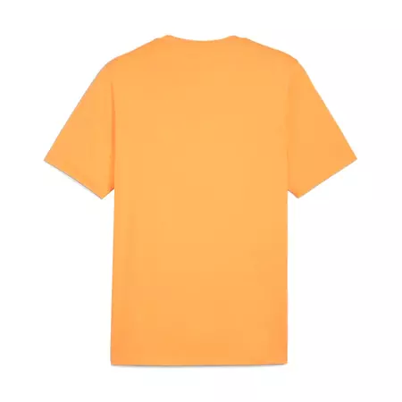 Puma GRAPHICS Mountain "Clementine" T-shirt