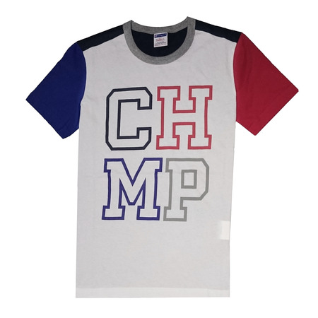 Champion Authentic Rochester Print Tee (multicolor)