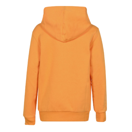 Champion Kids American Classic Flecce Hoodie "Yellow"