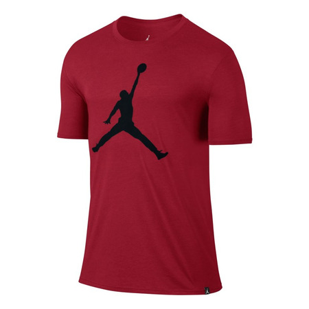 Jordan Camiseta Iconic Jumpman Logo (687)