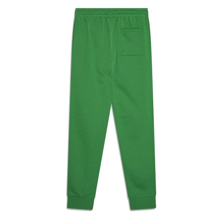 Jordan Kids JDB MJ Brooklyn French Terry Pants "Pine Green"