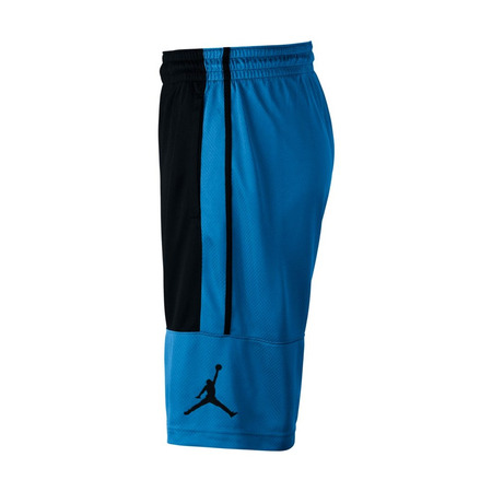 Jordan Rise Solid Shorts (481)