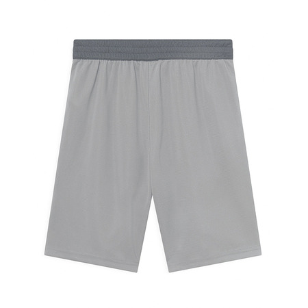 Nike Dri-Fit Boys´ Basketball Shorts "Gray"