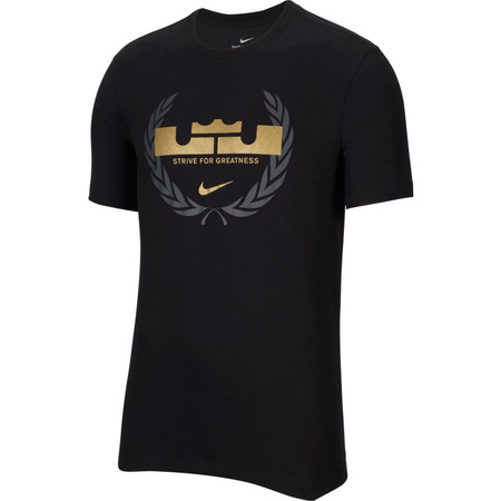 Nike Dri-FIT LeBron Logo Basketball T-Shirt