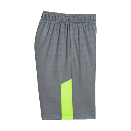 Nike Dri-FIT Shorts Kids (065)