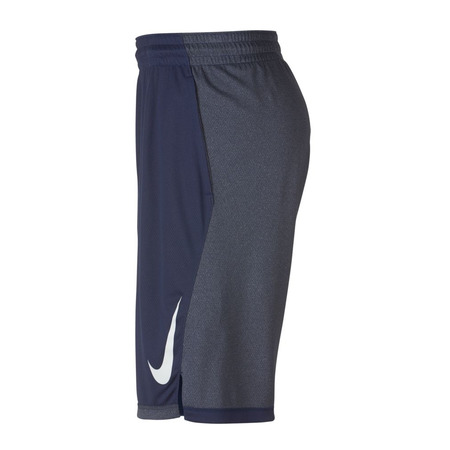 Nike Dry Dribble Shorts (410)