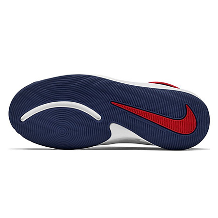 Nike Team Hustle D 9 (GS) "Midnight Navy Red"