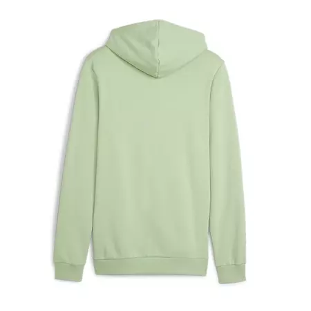 Puma ESS+ 2 Col Small Logo Hoodie TR "Pure Green"