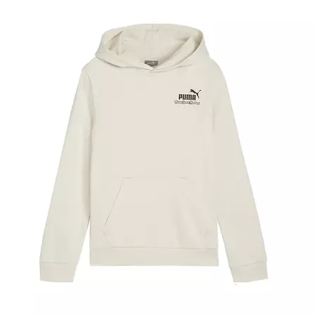 Puma Junior ESS+ MID 90s Hoodie TR B "Alpine Snow"