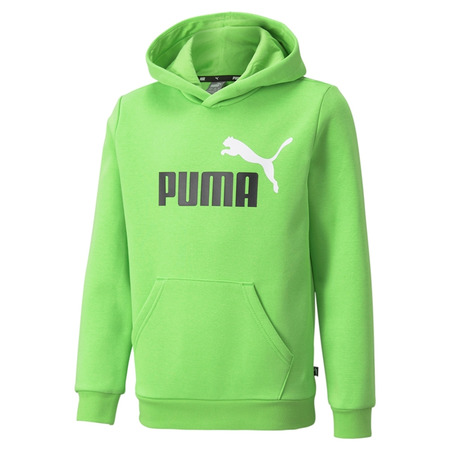 Puma Junior ESS+ 2 Col Big Logo Hoodie