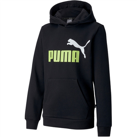 Puma Junior Essentials 2 Col Hoody FL B