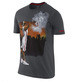 Camiseta Lebron Painting (060/anthracite)