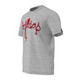 Adidas Camiseta Adi Laces (gris)