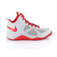 Nike Dual Fusion BB Kids (GS) (008/wolf grey/university red)