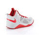 Nike Dual Fusion BB Kids (GS) (008/wolf grey/university red)