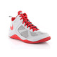 Nike Dual Fusion BB Kids (GS) (008/wolf grey/university red)