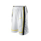 Short Lebron Gametime (100/white/yellow/black)