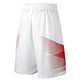 Short Basket Nike Logo Spain Authentic (100/white)