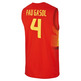 Nike Logo Spain Replica Pau Gasol (600/red/yelow)