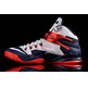 Nike Zoom LeBron Soldier VIII "USA" (114/white/navy/red)